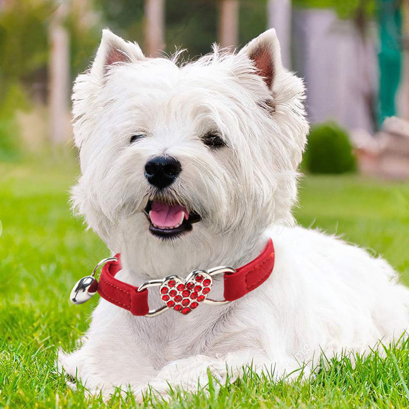 Μαλακό βελούδινο κολάρο για σκύλους Love Heart&Bells Κοσμήματα Διακοσμητικά Μόδα Κολάρα για κατοικίδια για μικρά σκυλιά Προμήθειες κουταβιών γάτας Αξεσουάρ σκυλιών