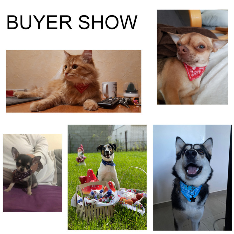 SUPREPET Χαριτωμένα ρυθμιζόμενα περιλαίμια για σκύλους για κουτάβι για κατοικίδια αδύνατα πετσέτα γιακά για γάτα εξωτερικού χώρου Κασκόλ Σχέδιο γιακά σκύλου Μανιλέτο