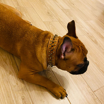 Ρυθμιζόμενα δερμάτινα κολάρα σκυλιών με καρφιά για μικρά μεσαία μεγάλα κατοικίδια Αντι-τσιμπήματα ρετρό στυλ πίτμπουλ μπουλντόγκ μπόξερ