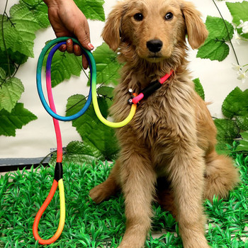 1Pcs Rainbow Nylon Dog Leash Training Dog Персонализирана каишка за каишка за каишка Яка 130 см Висококачествен колан за кучета Цвят на случаен принцип
