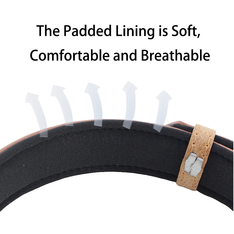 Plăcuță de identificare personalizată Guler de pisică pentru câini Etichetă cu nume de identificare gravată personalizată Guler de câine din piele moale căptușită pentru câini mici, mijlocii mari