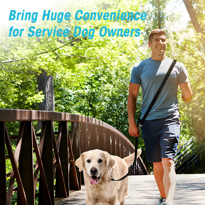 Benepaw multifunktsionaalne käed-vabad koerarihm Vastupidav reguleeritav lemmikloomatreeningrihm Nailonist kahekordne kutsikarihm väikestele suurtele koertele