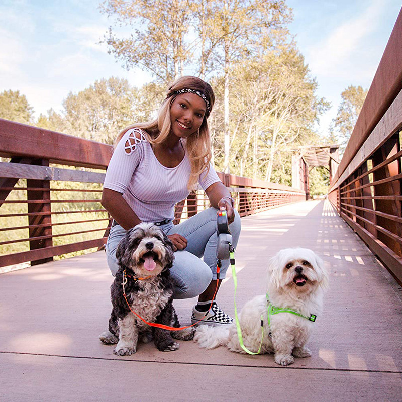 Frânghie de tracțiune cu două capete, retractabilă automată, reflectorizantă, lanț pentru câini, cu două lesă, pentru animale de companie, frânghie de patrulă pentru căței