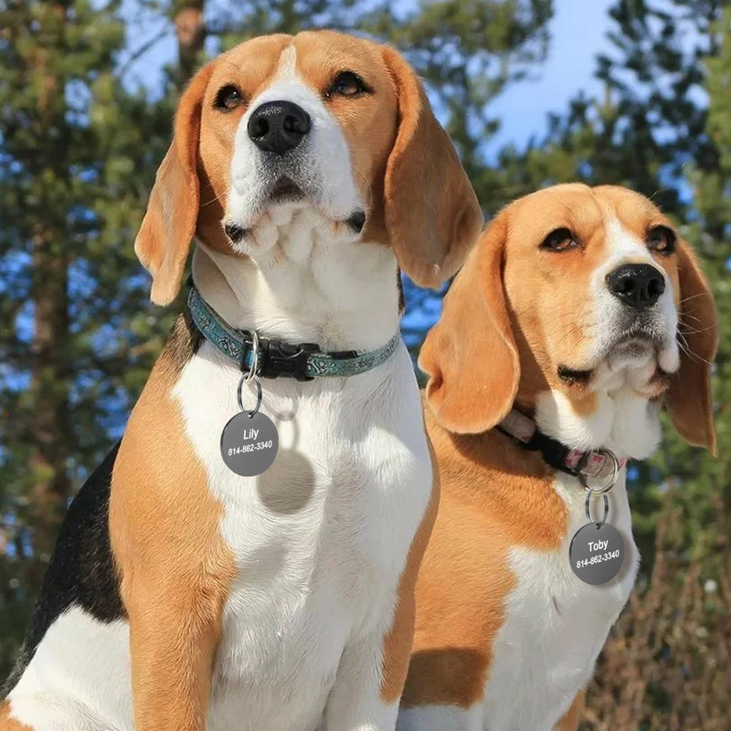 Etichete de identificare pentru câini de companie din oțel inoxidabil Etichetă cu nume personalizată pentru câine, pisică, gravată personalizată, pandantiv anti-pierdere, accesorii pentru guler pentru câine de companie