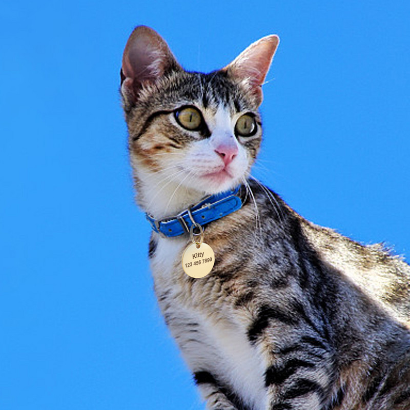 Etichete de identificare pentru câini de companie din oțel inoxidabil Etichetă cu nume personalizată pentru câine, pisică, gravată personalizată, pandantiv anti-pierdere, accesorii pentru guler pentru câine de companie