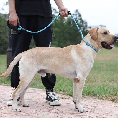 Kutyakiképző póráz 5 színű nylon alapkötél Közepes méretű kutyák sétáló nagy kutyanyakörv Tartós Könnyen irányítható Állítható labrador