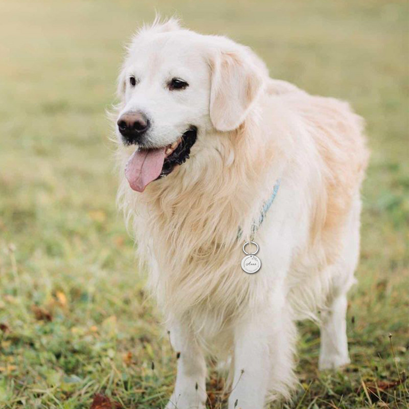 Etichete de identificare pentru câini, 4 culori, personalizate, inimă de pădure