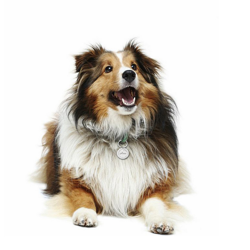 Etichete de identificare pentru câini, 4 culori, personalizate, inimă de pădure