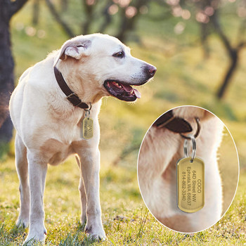 Етикет за кучета Персонализирани гравирани аксесоари за нашийник за домашни кучета Персонализирани военни идентификатори Етикети за домашни любимци Кученце Котка Име на телефона Етикети от неръждаема стомана