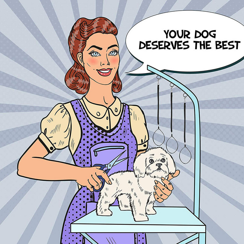 Βρόχοι περιποίησης κατοικίδιων ζώων νάιλον θηλιά συγκράτησης Ρυθμιζόμενη θηλιά σταθεροποιημένης γάτας σκύλου με λουρί ασφαλείας για τραπέζι καλλωπισμού κατοικίδιων μαύρο μπλε ροζ