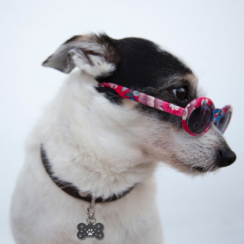 Pielāgota suņu kaķa identifikācijas zīme Krāsainas mājdzīvnieku kaklasiksnas aksesuāri Mājdzīvnieki Vārda birkas Personalizētas nerūsējošā tērauda mājdzīvnieku kaklasiksnas Tagu vairumtirdzniecība