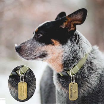 Идентификационен етикет за кучета от неръждаема стомана Персонализирани етикети за кучета Табелка с име Анти-изгубен домашен любимец Висулка за домашни нашийници Колие Безплатно гравиране