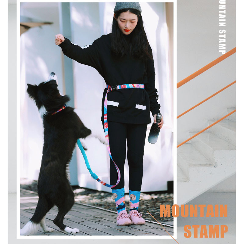 Μαλακό λουρί σκύλου για τρέξιμο χωρίς ελαστικό αντανακλαστικό λουρί για κατοικίδια λουρί για σκύλους με δυνατότητα επέκτασης ισχυρά λουριά για κατοικίδια