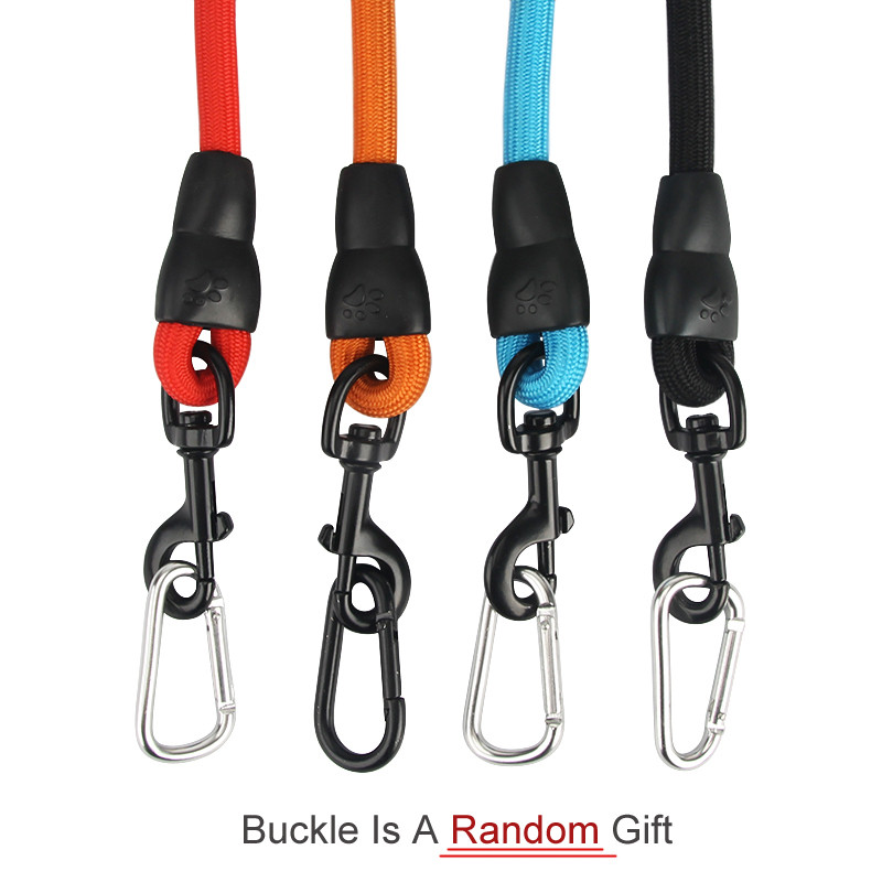 Koera pikad jalutusrihmad õues lemmikloomade ümmarguse köie treenimiseks jalutusrihm väikesele suurele keskmisele koerale