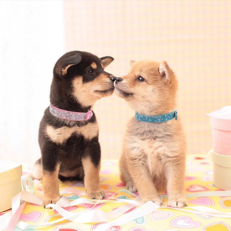 Κολάρα για κουτάβι Rhinestone Bling Ρυθμιζόμενο δερμάτινο κολάρο γατάκι με παπιγιόν για μικρόσωμους μεσαίους σκύλους Γάτες Chihuahua Pug Yorkshire