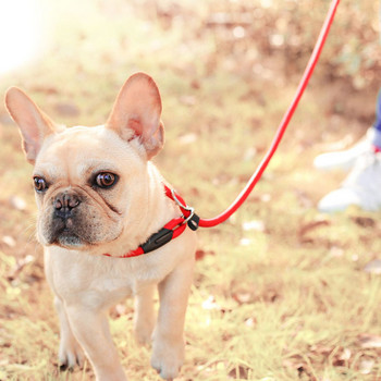 Pet Puppy Dog Leash Slip Rope Lead Lead Найлонови плъзгащи се вериги Яка No Pull Training Lead Leashes for Small Dogs Черен Червен Син