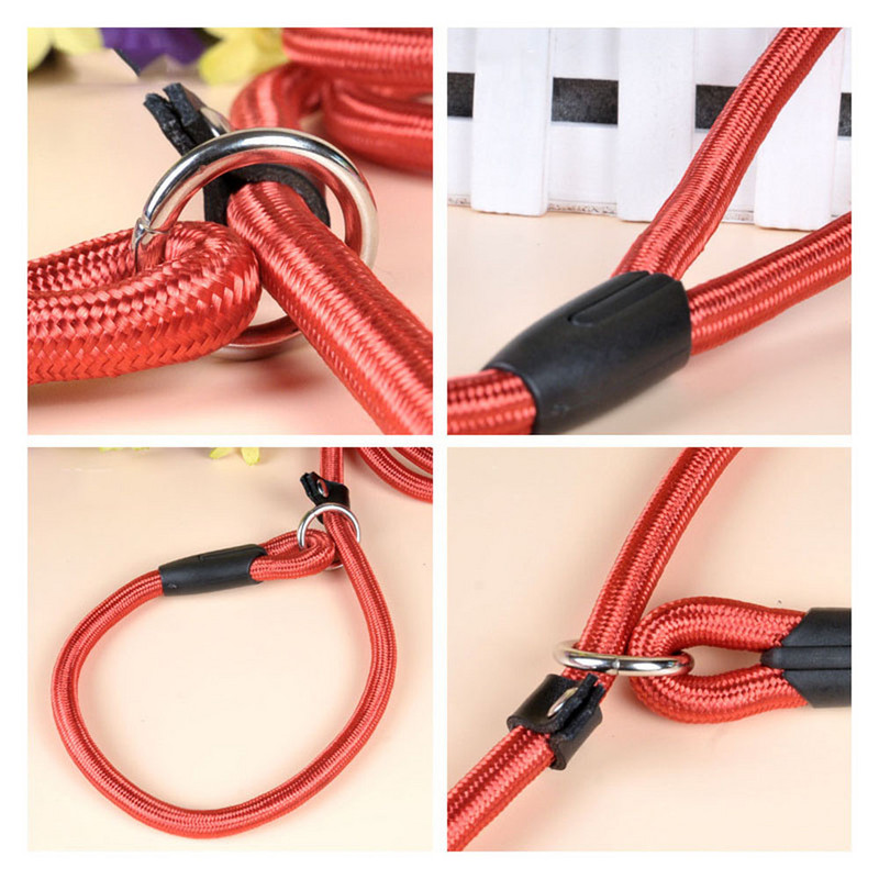 Pet Puppy Dog Leash Slip Leash Rope Leash Nylon Slip Chains Collar No Pull Training Μολύβδινα λουριά για μικρά σκυλιά Μαύρο κόκκινο μπλε