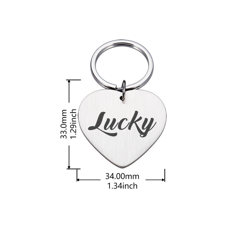 Besplatno graviranje Oznaka s imenom psa Ogrlice Dodaci Oznake za identifikaciju psa Oznake za identifikaciju pasa od nehrđajućeg čelika za štene i pse Ugravirane oznake za mačke