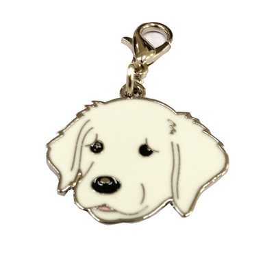 Suņa kaklasiksnas piekariņas ID birka ar dažādiem suņu veidiem, bezmaksas gravēšana mājdzīvnieku personalizēta kaklarota vārda dzimšanas dienas identifikācijas zīme kucēnu aksesuāri