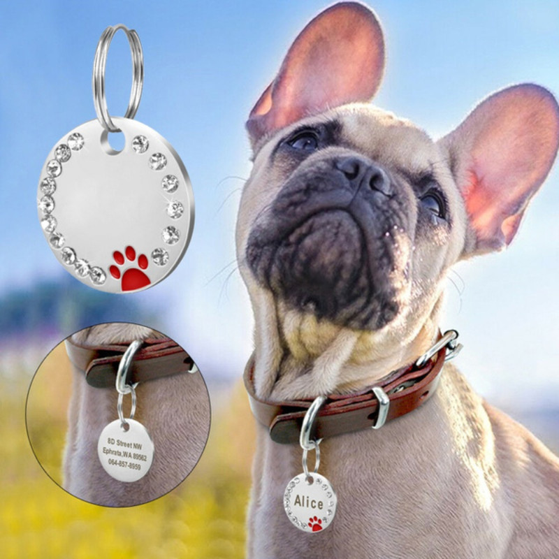 Personalizirana ogrlica za kućne ljubimce Besplatna ID oznaka Graviranje Pas Anti-lost Pločica s imenom Privjesak Chihuahua Accesorios Puppy Prilagođeni proizvodi