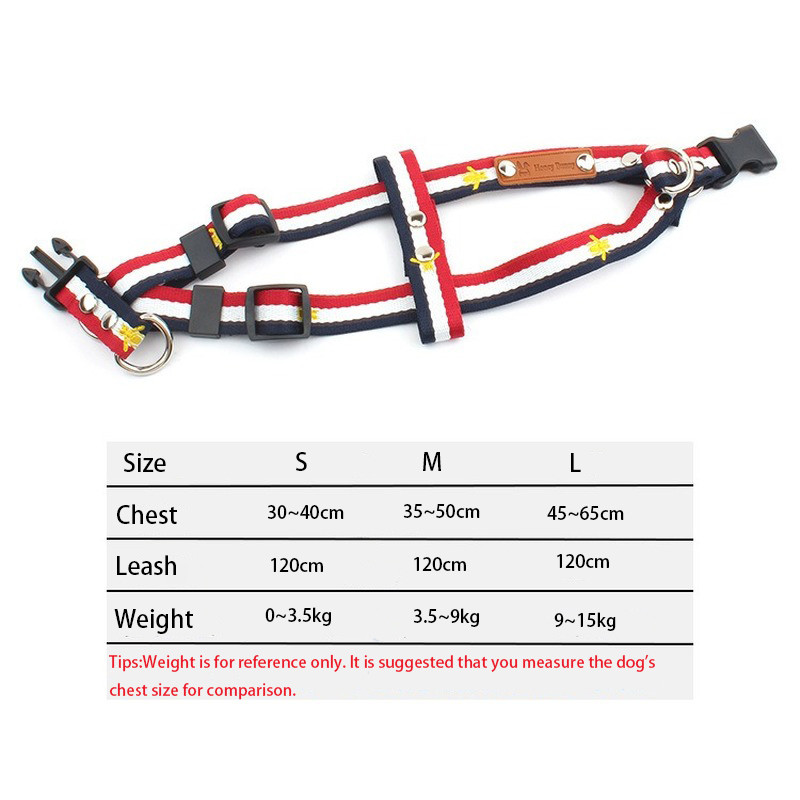 Lemmikloomakoera rakmete jalutusrihm 2tk Komplektid Mood Karu Mesilane Tikand Kaisukrae Jalutusnöör kett väikestele kutsikatele Aksessuaarid