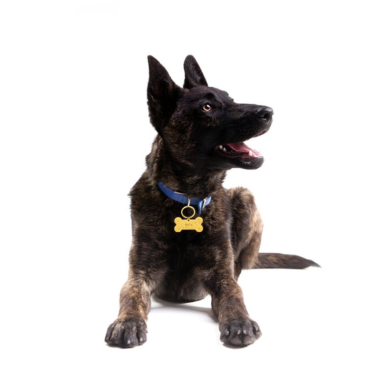 Εξατομικευμένη ετικέτα ταυτότητας σκύλου Χαραγμένες ετικέτες κατοικίδιων σκύλων Αξεσουάρ για κολάρο Προσαρμοσμένες ετικέτες ονόματος γάτας για σκύλους Κολιέ Μενταγιόν Αξεσουάρ