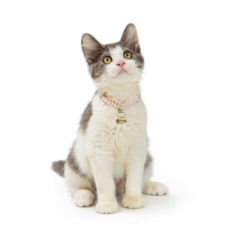 Ogrlica za pse od nehrđajućeg čelika Personalizirana ogrlica s pločicom za kućne ljubimce Prilagođene ogrlice s identifikacijskom pločicom za štene mačke za srednje velike pse s ugraviranim