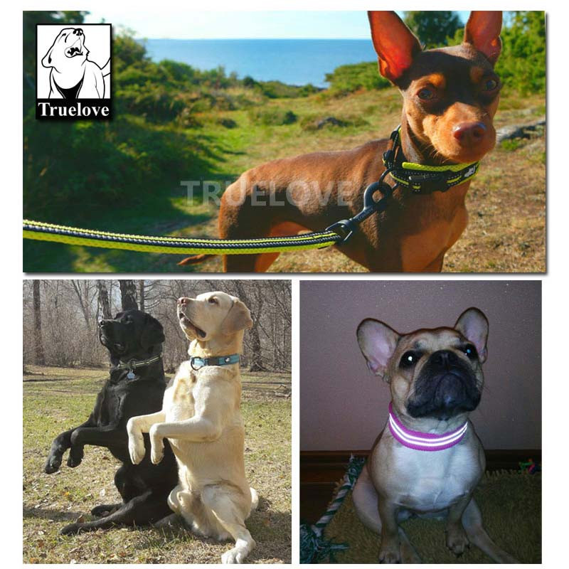 Guler de nailon reglabil pentru câini Truelove Guler reflectorizant căptușit din plasă pentru dresaj de câini Colier confortabil pentru câini în aer liber pentru animale de companie