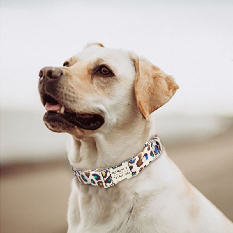 Κολάρα σκυλιών με λουρί Ρυθμιζόμενο κολάρο για κατοικίδια για μικρούς μεσαίου μεγέθους σκύλους και γάτες, κολάρο εκτύπωσης λεοπάρδαλης από καμβά Μαλακό και άνετο