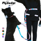 Handsfree Bungee Dog Leash Extension Extension Reflektivni najlonski podstavljeni povodac s dvostrukom ručkom za planinarenje, trčanje, male velike pse