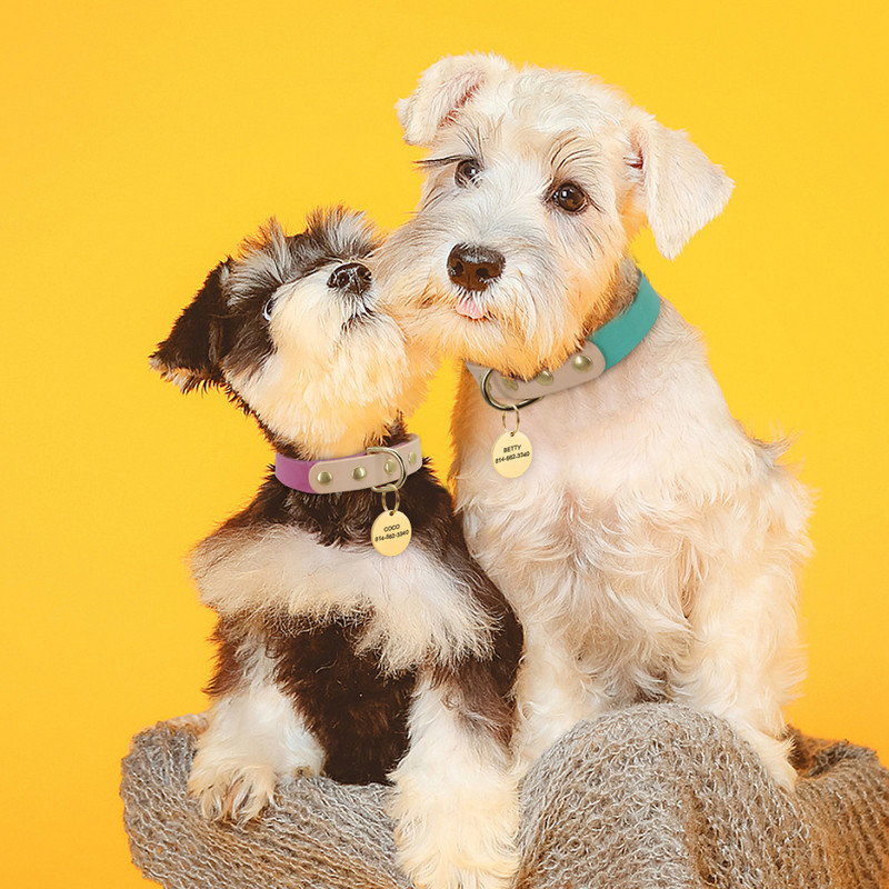 Εξατομικευμένο κολάρο σκύλου από γνήσιο δέρμα με πινακίδα ονομασίας Προσαρμοσμένα περιλαίμια Chihuahua Anti-lost για μικρούς μεσαίους σκύλους Ρυθμιζόμενο για γάτα