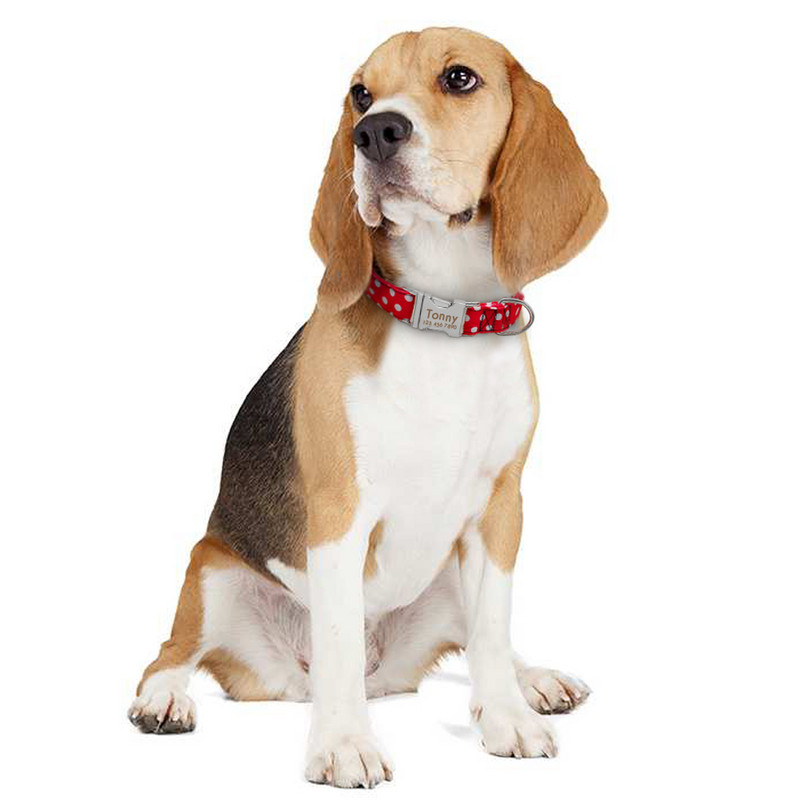Guleră personalizată pentru câini Gulere pentru câini cu puncte Gulere din nailon pentru animale de companie Gravare ID pentru animal de companie mic, mediu, mare, Pitbull, roșu, albastru, negru