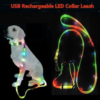 Комплект каишка и нашийник за кучета Водоустойчиво отразяващо найлоново въже и LED USB акумулаторна безопасност за мигаща светлина Нощно ходене