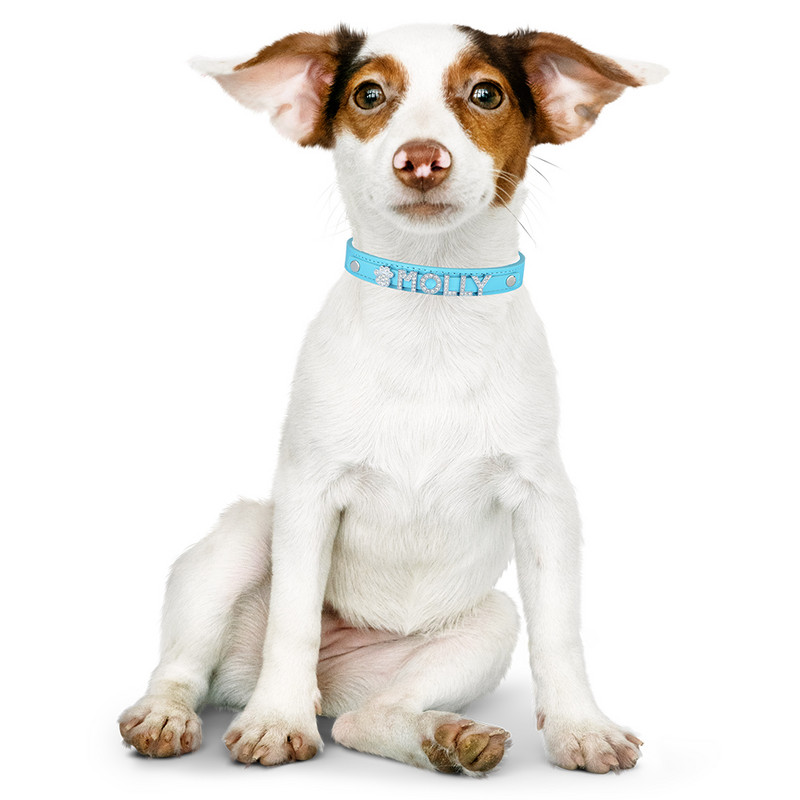 Prilagodljiva ogrlica s imenom ljubimca Personalizirana kožna ogrlica za pse sa dijamantima DIY pločica za pse Rodno neutralni pribor za pse Dodaci za pse