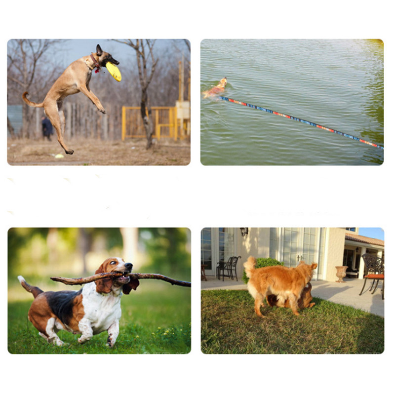 4,5 m 6 m 9 m 15 m Povodac za pse za kućne ljubimce Mali Veliki Štene Povodac za dva psa Obuka opoziva Praćenje Poslušnost Dugo olovo Uže za planinarenje