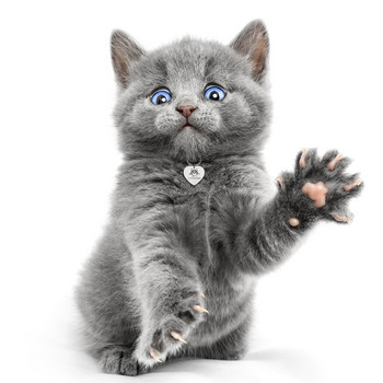 Δωρεάν χαραγμένες ετικέτες ταυτότητας κατοικίδιων εξατομικευμένες ετικέτες γατούλας για κατοικίδια Ονόματα κολάρα για γάτα Προσαρμοσμένο όνομα αναγνωριστικό κολάρο γατάκι Αξεσουάρ για γάτες