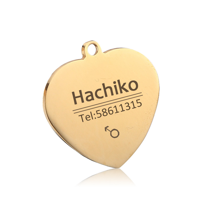 Εξατομικευμένες ετικέτες ταυτότητας σκύλου από ανοξείδωτο χάλυβα Ετικέτες ταυτότητας κατοικίδιων ζώων για γάτες και σκύλους Αξεσουάρ κολάρου Ετικέτα σκύλου χαραγμένη ετικέτα ονόματος φύλου