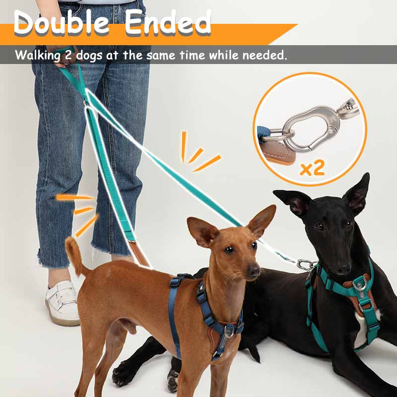 HamshMoc 5 în 1, multifuncțional, reglabil, plumb pentru câini, fără mâini, lesă pentru dresaj pentru animale de companie, lesă multifuncțională pentru câini, plimbare 2 câini