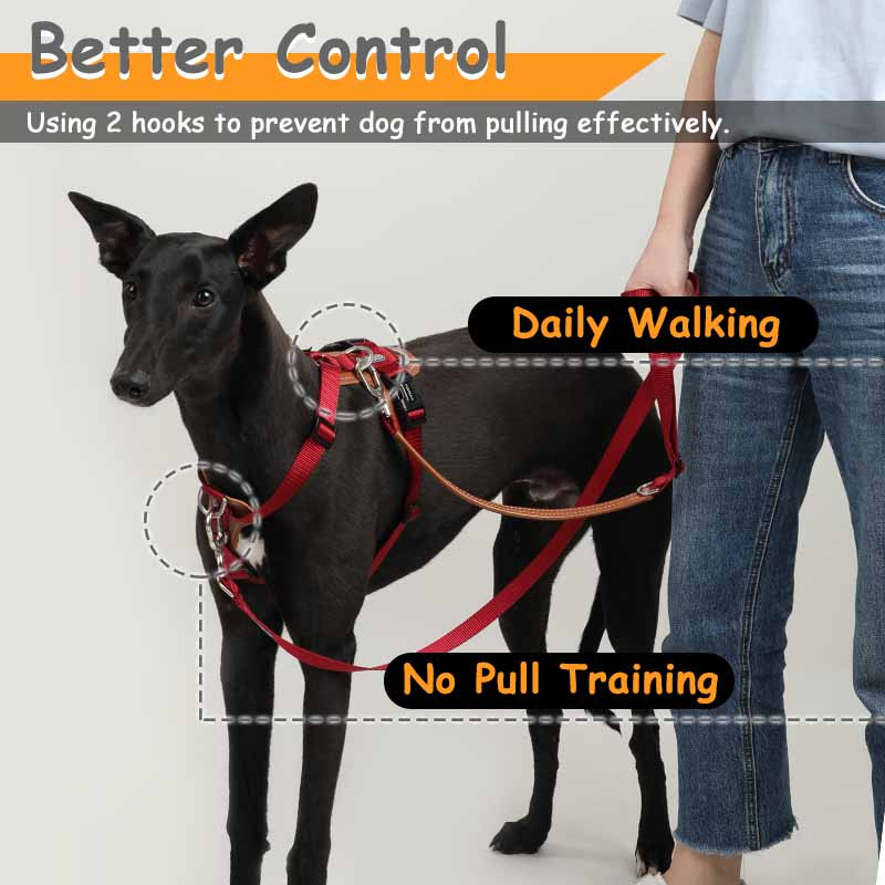 HamshMoc 5 în 1, multifuncțional, reglabil, plumb pentru câini, fără mâini, lesă pentru dresaj pentru animale de companie, lesă multifuncțională pentru câini, plimbare 2 câini