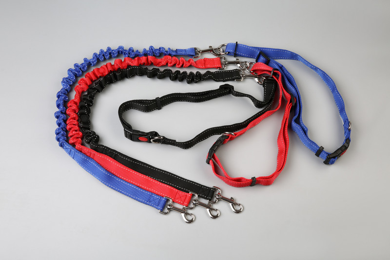 Lemmikloomatarvete hulgimüük koerte jalutamine, jooksmine, tõmbamine, tõmbamine, koerte hommikujooks, jalutusrihm, tehase otsetarne