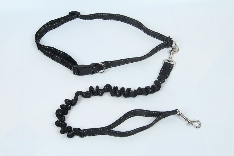 Lemmikloomatarvete hulgimüük koerte jalutamine, jooksmine, tõmbamine, tõmbamine, koerte hommikujooks, jalutusrihm, tehase otsetarne