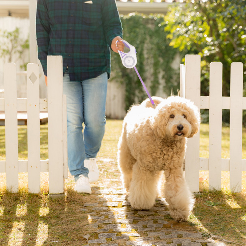 Dog Leash Dog Roulette Light Αυτόματο αναδιπλούμενο 3m 5m Nylon Puppy Leash Leads Patrol Rope for Small Medium Pet Αξεσουάρ