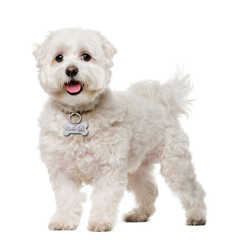 Διπλής όψης Προσαρμοσμένο όνομα Ετικέτες διεύθυνσης Ετικέτες κατοικίδιων σκύλων Κολάρο γάτας Αξεσουάρ Αναγνωριστικό κατοικίδιου Ετικέτες σκύλου Κολάρα από ανοξείδωτο χάλυβα Ετικέτα γάτας