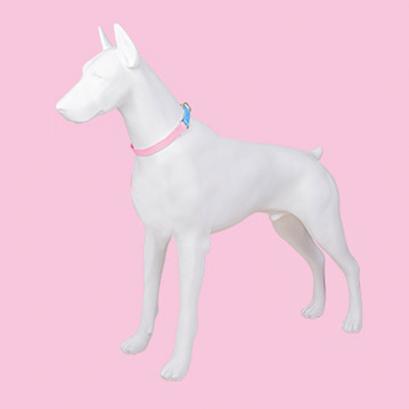 Μακαρόν κολάρο χρώματος γιακά κατοικίδιων ζώων διαφανές ένθετο πόρπη γιακά σκύλου λουρί σκύλου διπλό δαχτυλίδι έλξη δεν είναι εύκολο να σπάσει