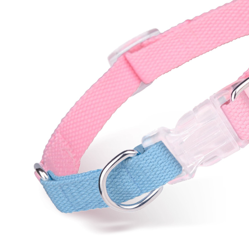 Μακαρόν κολάρο χρώματος γιακά κατοικίδιων ζώων διαφανές ένθετο πόρπη γιακά σκύλου λουρί σκύλου διπλό δαχτυλίδι έλξη δεν είναι εύκολο να σπάσει