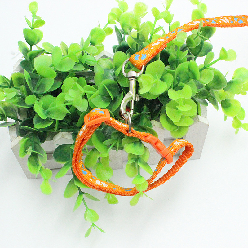 125 * 1CM gulere pentru câini Set de lese pentru curele de mers pentru animale de companie pentru guler de nailon pentru câini de talie mică, mijlocie, frânghie de tracțiune cu clopote