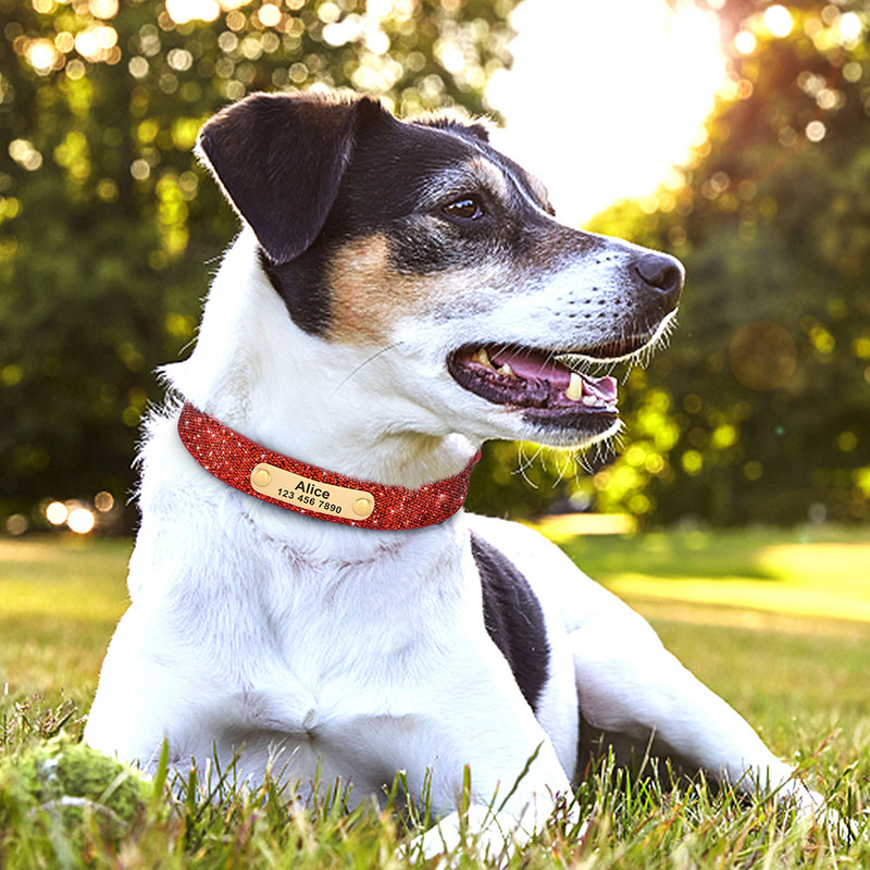 Zgarda personalizată Bling pentru câini, anti-pierdere cu sclipici ID, zgarda pentru câini, zgarda reglabilă pentru cățeluș pentru câini mici, mijlocii mari, chihuahua pug