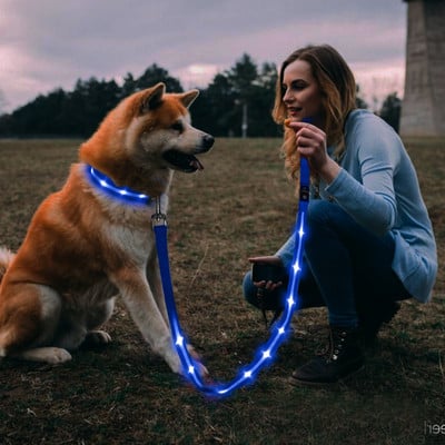 Pet Dog Running Leash Ръчно носено на кръста найлоново еластично куче поводи за бягане Джогинг Нощно ходене Safty Dog Rope Стоки за домашни любимци