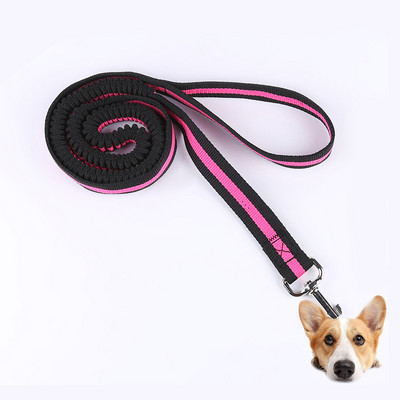Elastne lemmiklooma kassi kutsika koera jalutusrihm, jooksev koer, reguleeritav nailonist jalutusrihm kaelarihma köis koos peegeldava lemmiklooma sörkimiseks venitava veojõu köiega