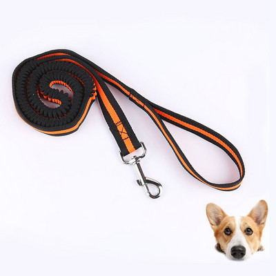 Elastne lemmiklooma kassi kutsika koera jalutusrihm, jooksev koer, reguleeritav nailonist jalutusrihm kaelarihma köis koos peegeldava lemmiklooma sörkimiseks venitava veojõu köiega